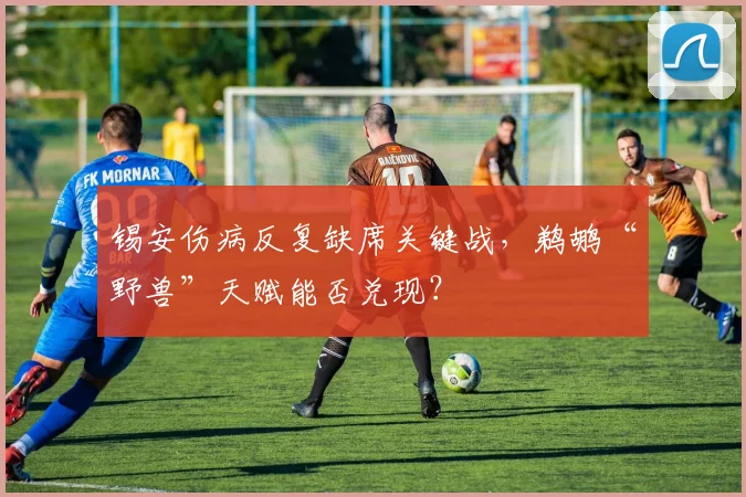 锡安伤病反复缺席关键战,鹈鹕“野兽”天赋能否兑现?